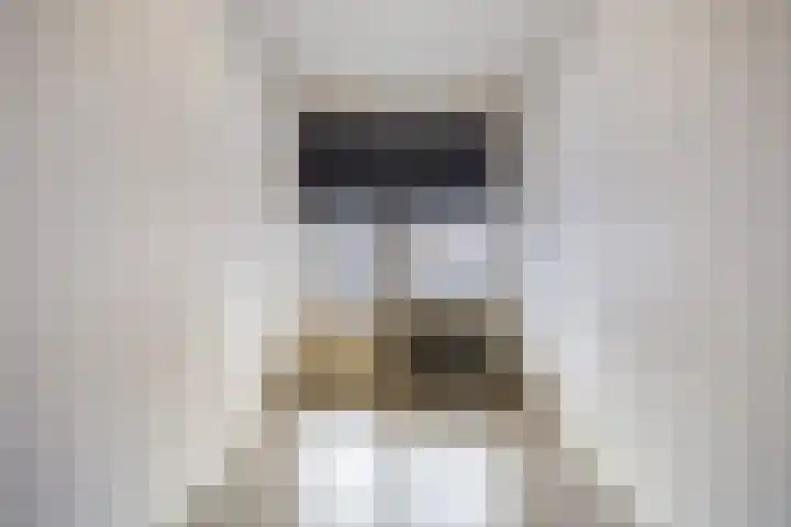 Wichard van Pontlaan 211 Arnhem thumbnail 15