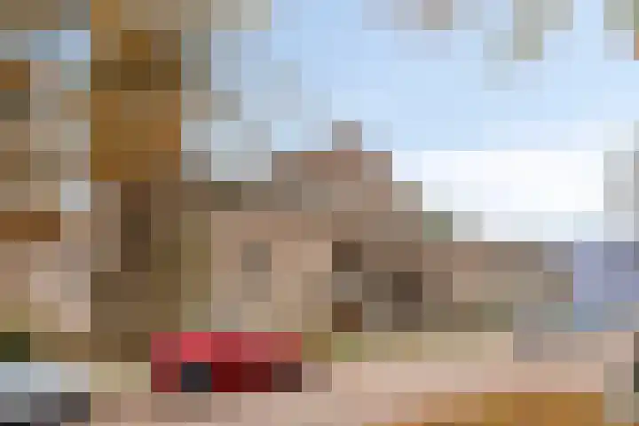 Wichard van Pontlaan 211 Arnhem thumbnail 18