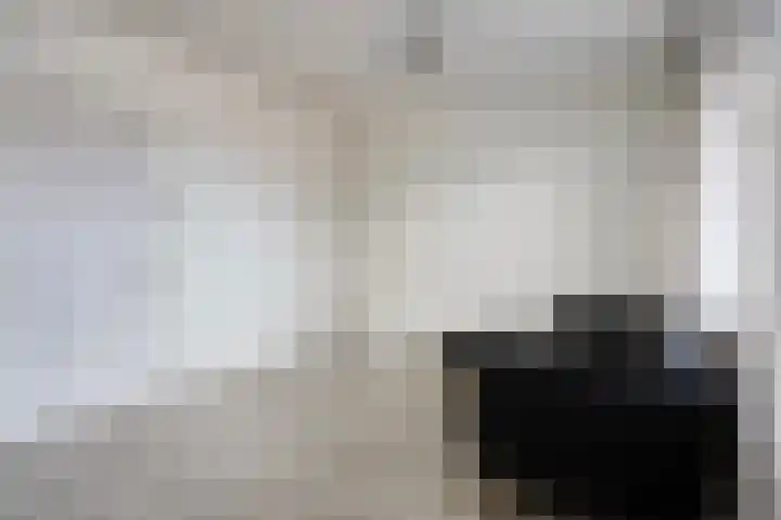 Wichard van Pontlaan 211 Arnhem thumbnail 6