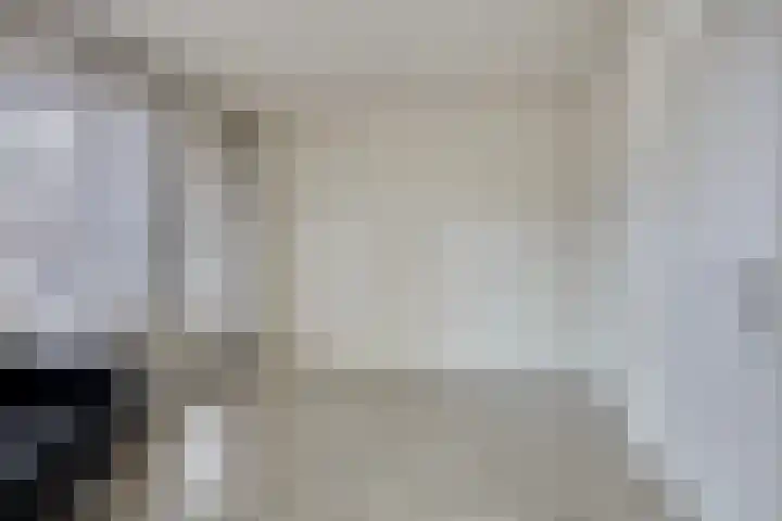 Wichard van Pontlaan 211 Arnhem thumbnail 7
