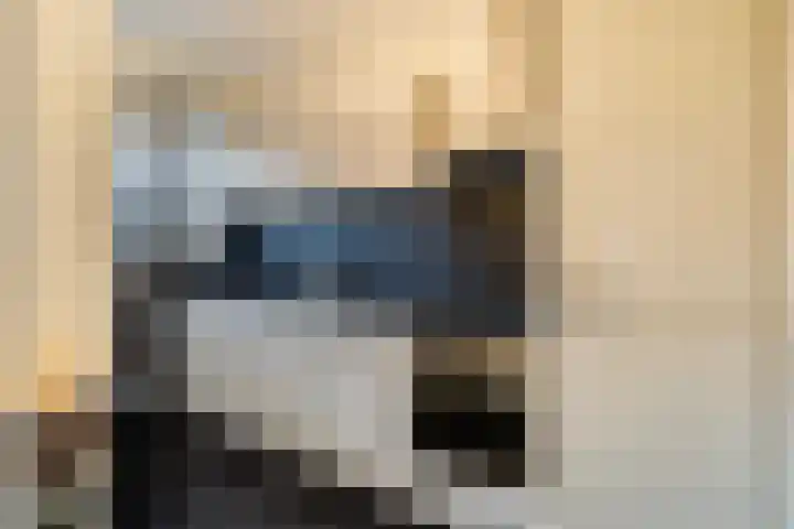 Wichard van Pontlaan 211 Arnhem thumbnail 8