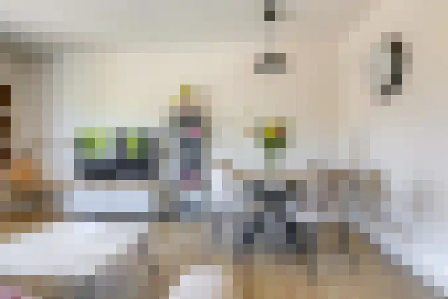 Wichard van Pontlaan 231 Arnhem thumbnail 26