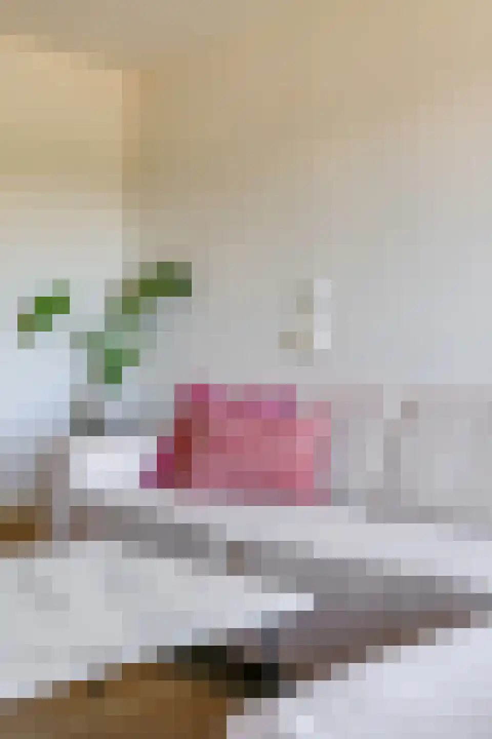 Wichard van Pontlaan 231 Arnhem thumbnail 31