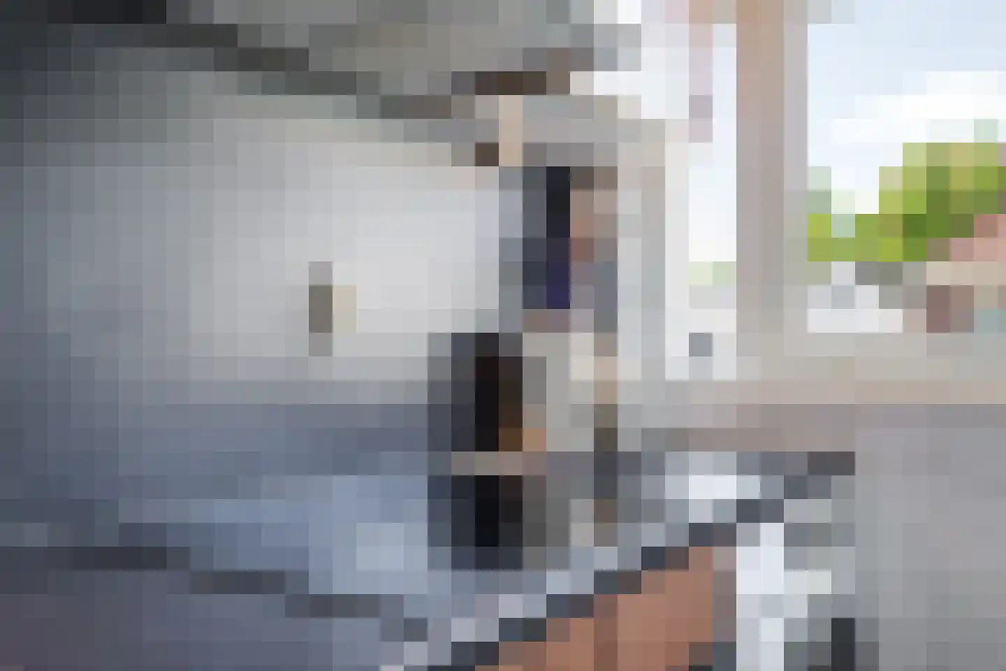 Wichard van Pontlaan 231 Arnhem thumbnail 45