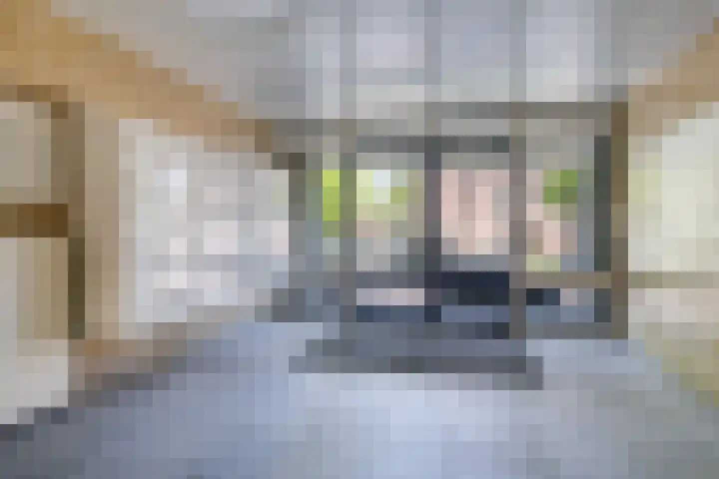 Wichard van Pontlaan 231 Arnhem thumbnail 8