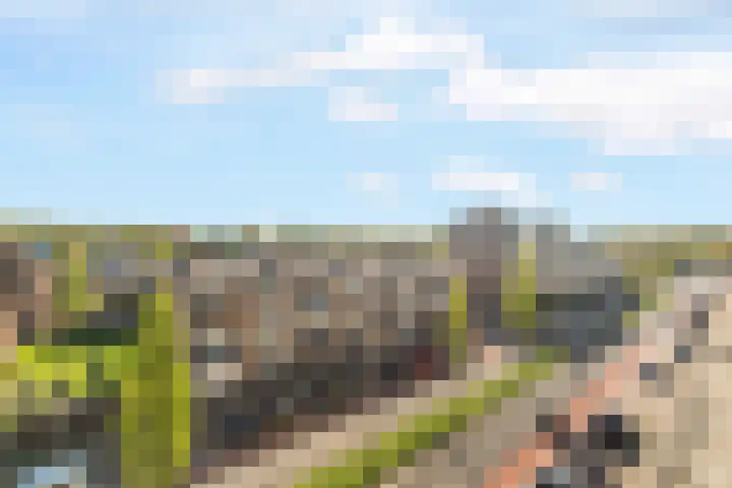 Wichard van Pontlaan 277 Arnhem thumbnail 41