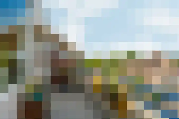 Wichard van Pontlaan 295 Arnhem thumbnail 21