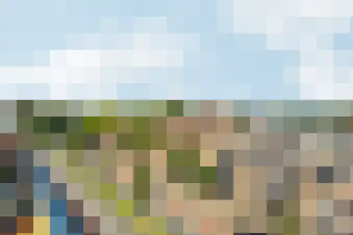 Wichard van Pontlaan 295 Arnhem thumbnail 22