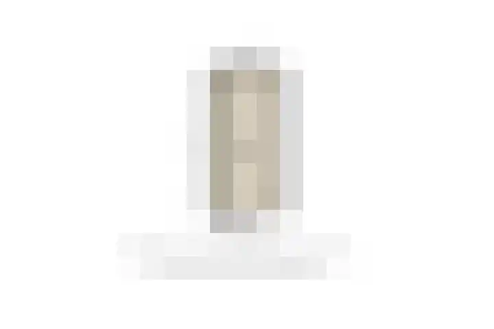 Wichard van Pontlaan 295 Arnhem thumbnail 31