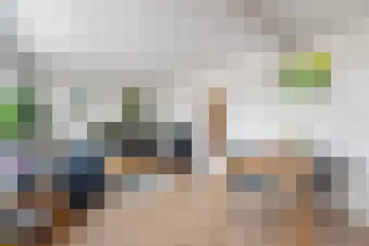 Wichard van Pontlaan 295 Arnhem thumbnail 9
