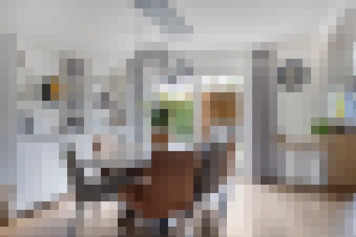 Wichard van Pontlaan 3 Zaltbommel thumbnail 14