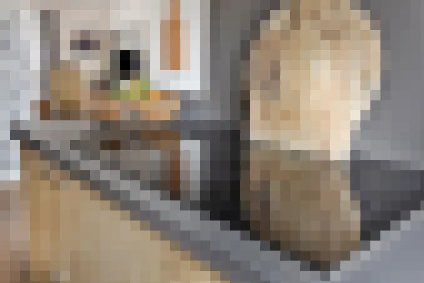 Wichard van Pontlaan 3 Zaltbommel thumbnail 20