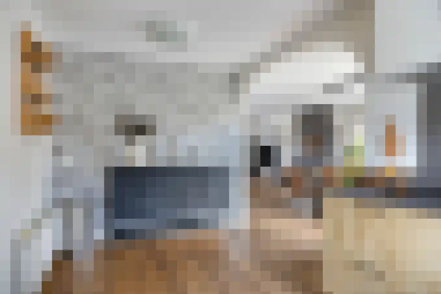 Wichard van Pontlaan 3 Zaltbommel thumbnail 21