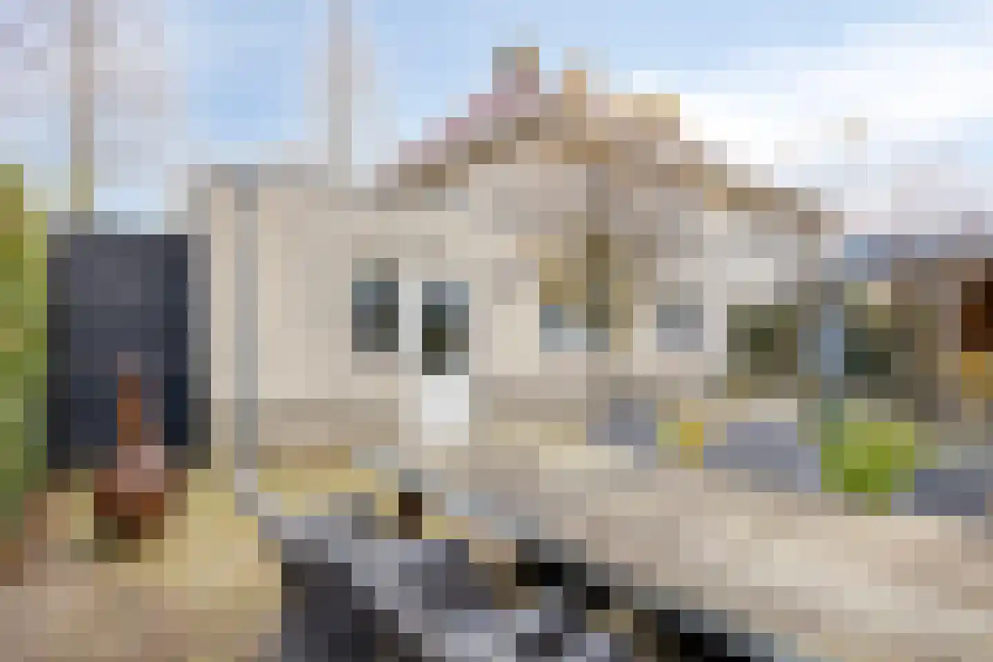 Wichard van Pontlaan 3 Zaltbommel thumbnail 53