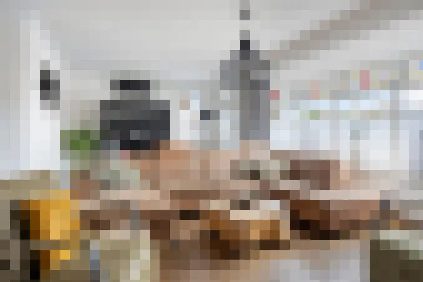 Wichard van Pontlaan 3 Zaltbommel thumbnail 7
