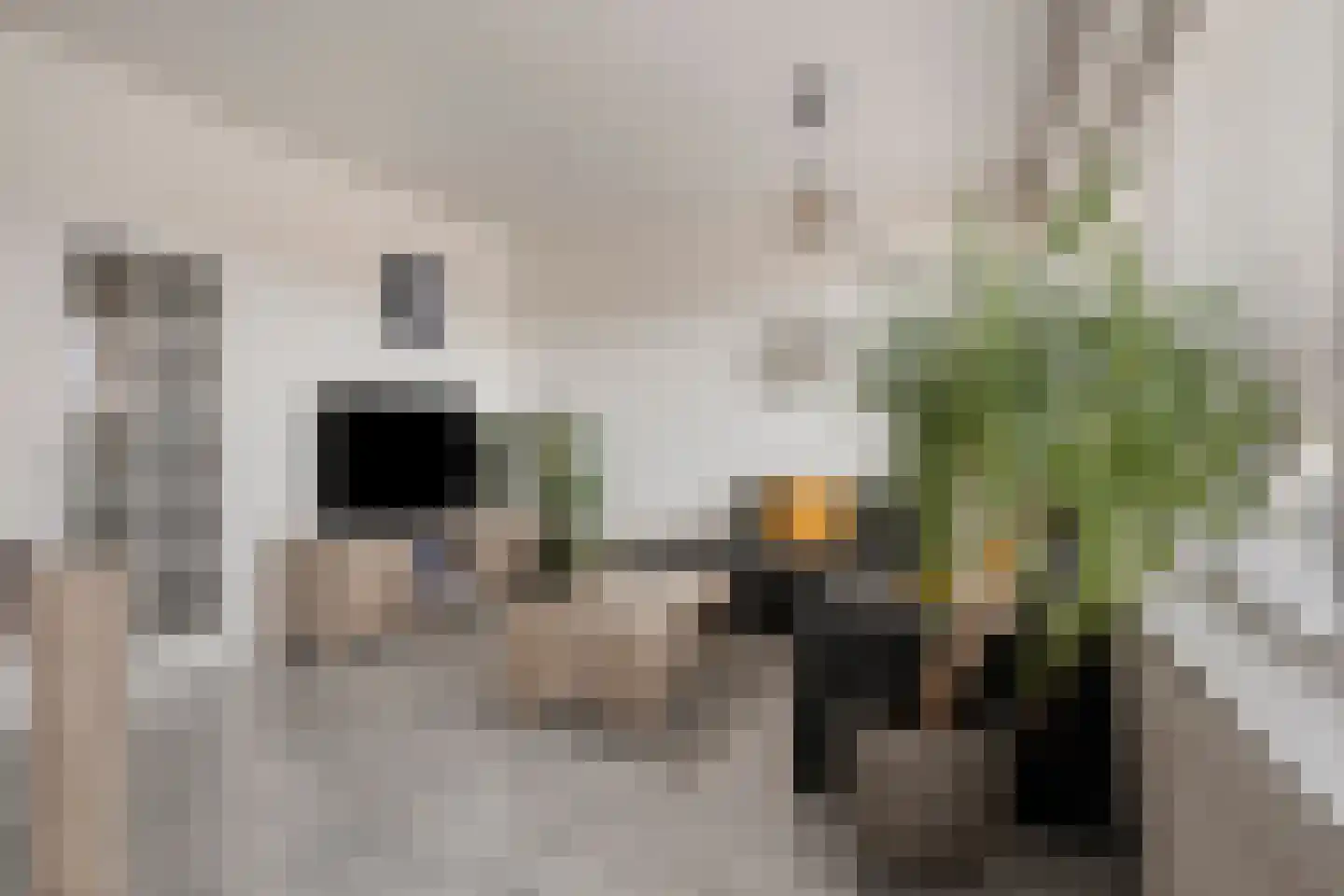 Wichard van Pontlaan 53 Arnhem thumbnail 4
