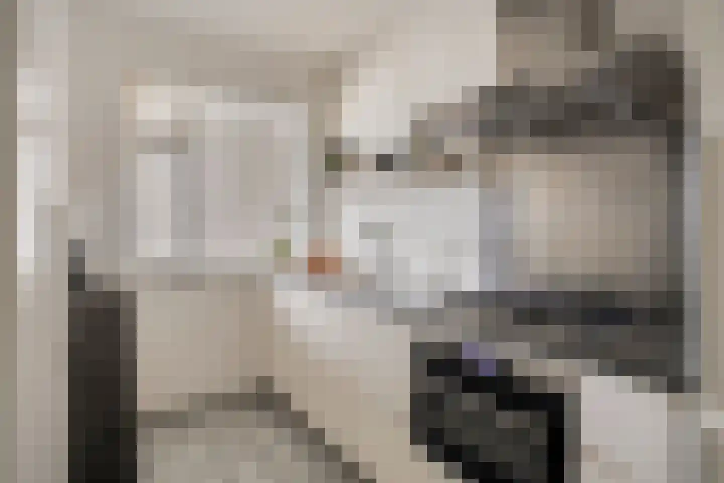 Wichard van Pontlaan 53 Arnhem thumbnail 8