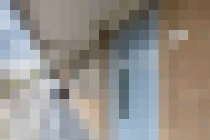 Wichard van Pontlaan 77 Arnhem thumbnail 6