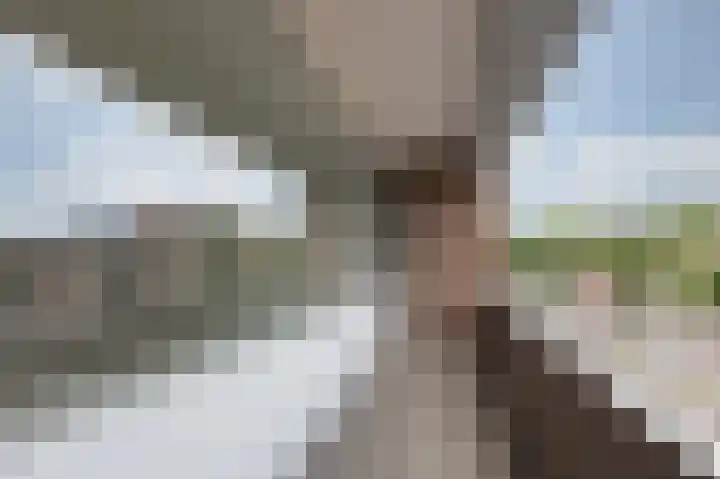 Wichard van Pontlaan 77 Arnhem thumbnail 9