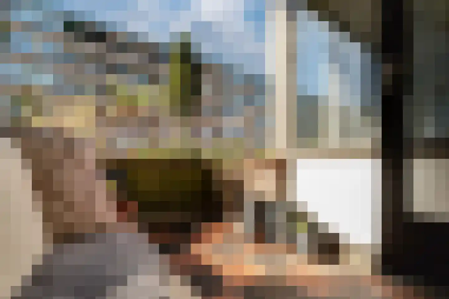 Wichard van Pontlaan 80 Arnhem thumbnail 20