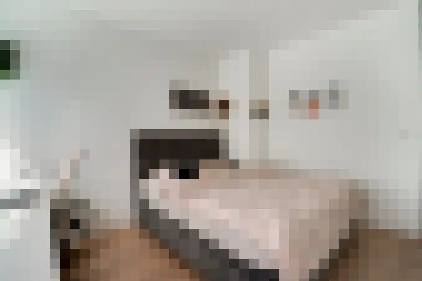 Wichard van Pontlaan 80 Arnhem thumbnail 34
