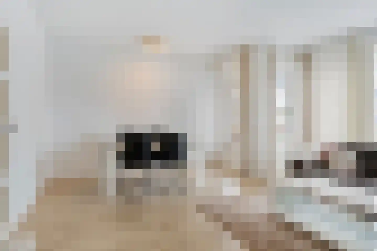 Wichard van Pontlaan 9 Arnhem thumbnail 18