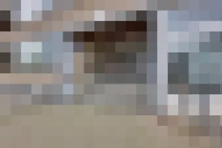 Wichard van Pontlaan 97 Arnhem thumbnail 12