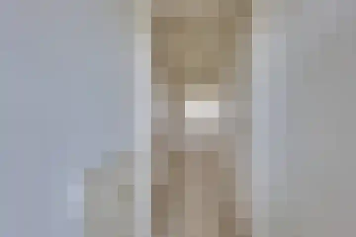 Wichard van Pontlaan 97 Arnhem thumbnail 20