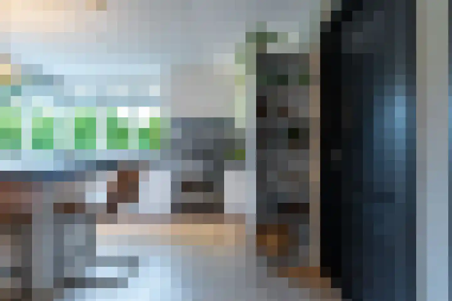 Wicherserf 10 Dalfsen thumbnail 12