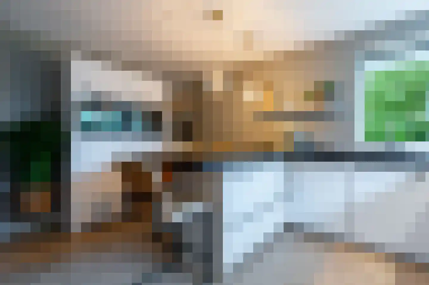Wicherserf 10 Dalfsen thumbnail 15
