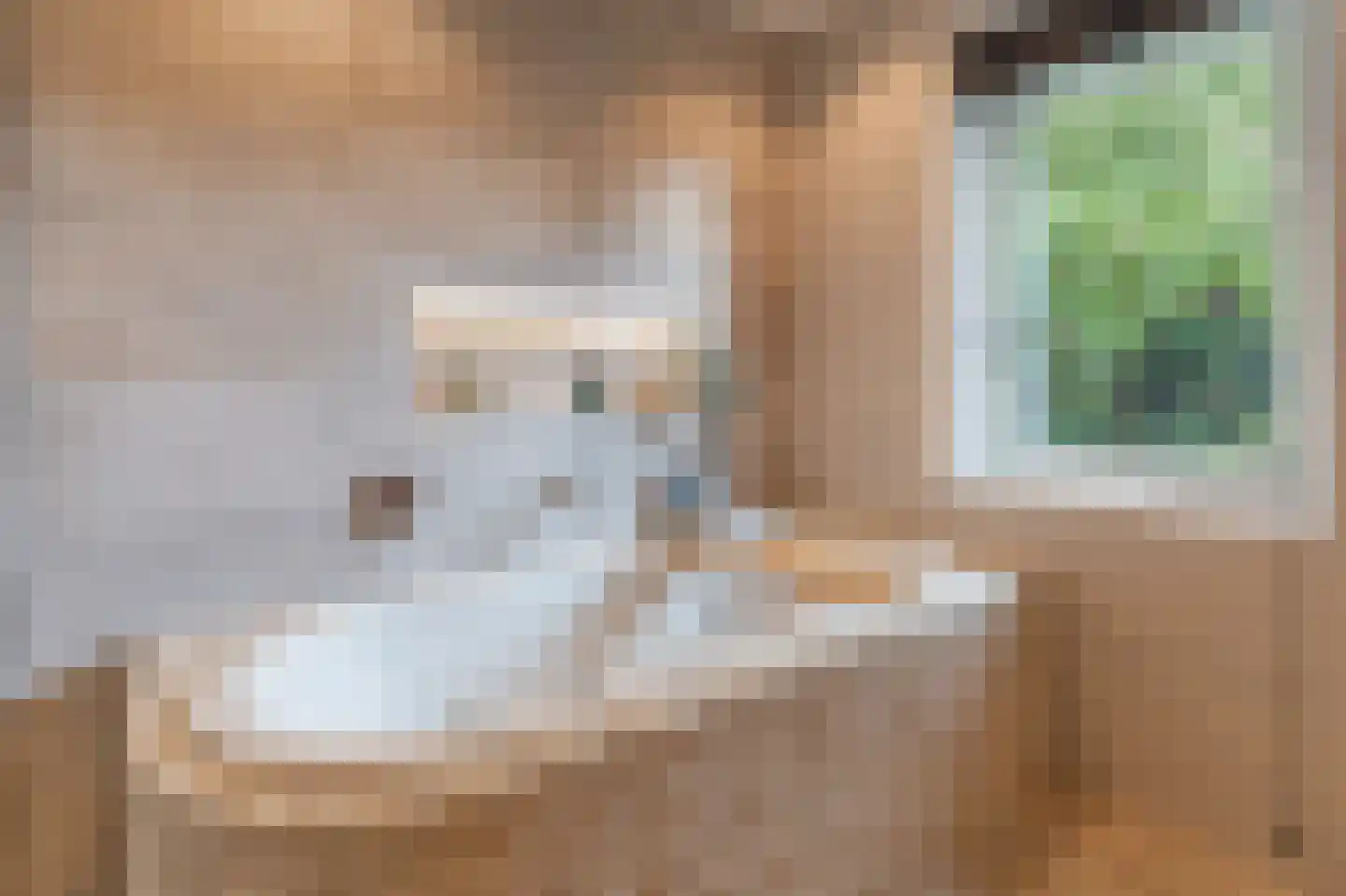 Wicherserf 10 Dalfsen thumbnail 25