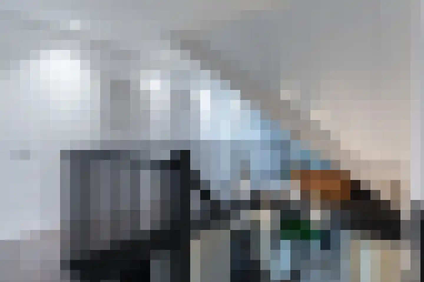 Wicherserf 10 Dalfsen thumbnail 27
