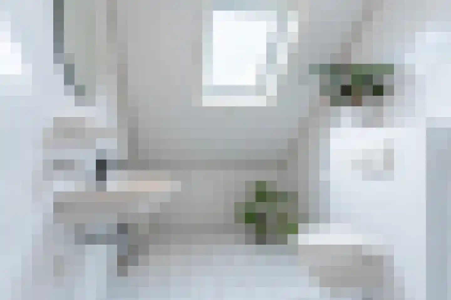 Wicherserf 10 Dalfsen thumbnail 29
