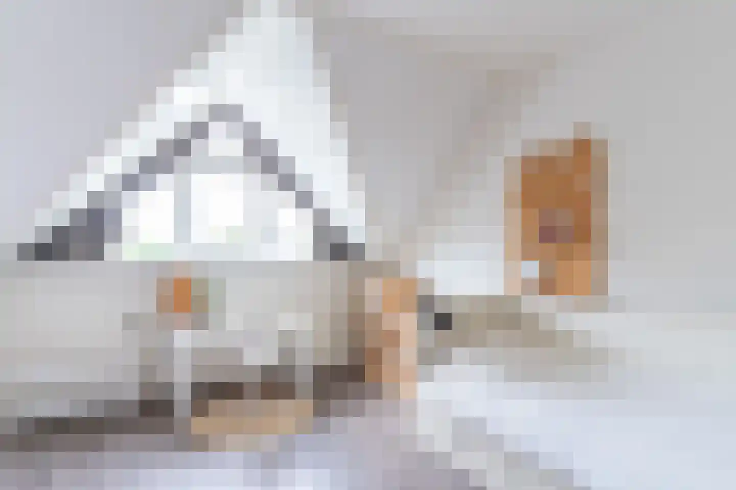 Wicherserf 10 Dalfsen thumbnail 31