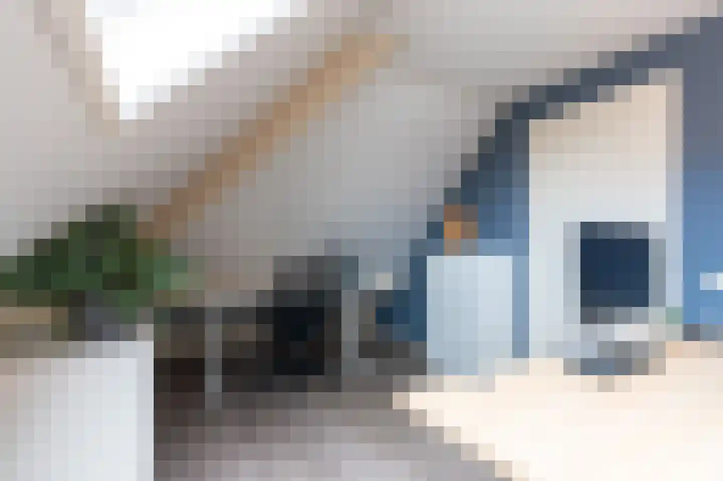 Wicherserf 10 Dalfsen thumbnail 36