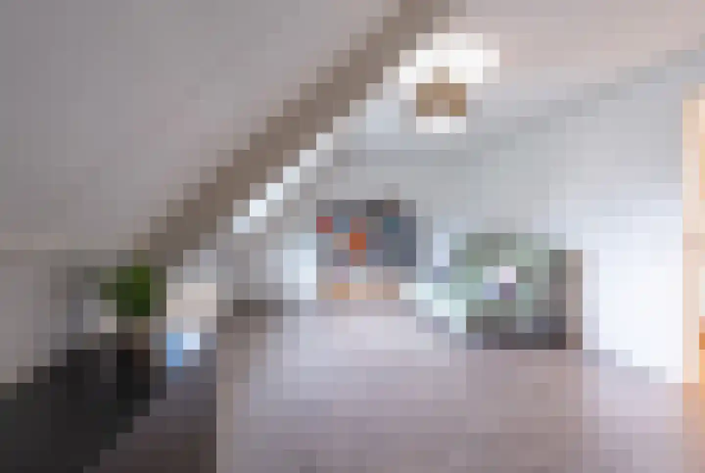 Wicherserf 10 Dalfsen thumbnail 38