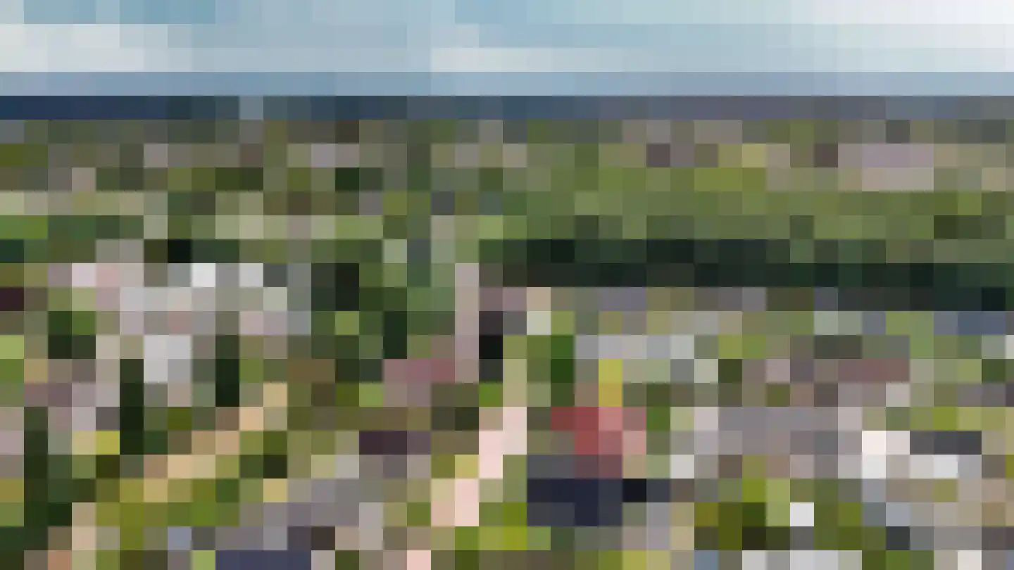 Wicherserf 10 Dalfsen thumbnail 4