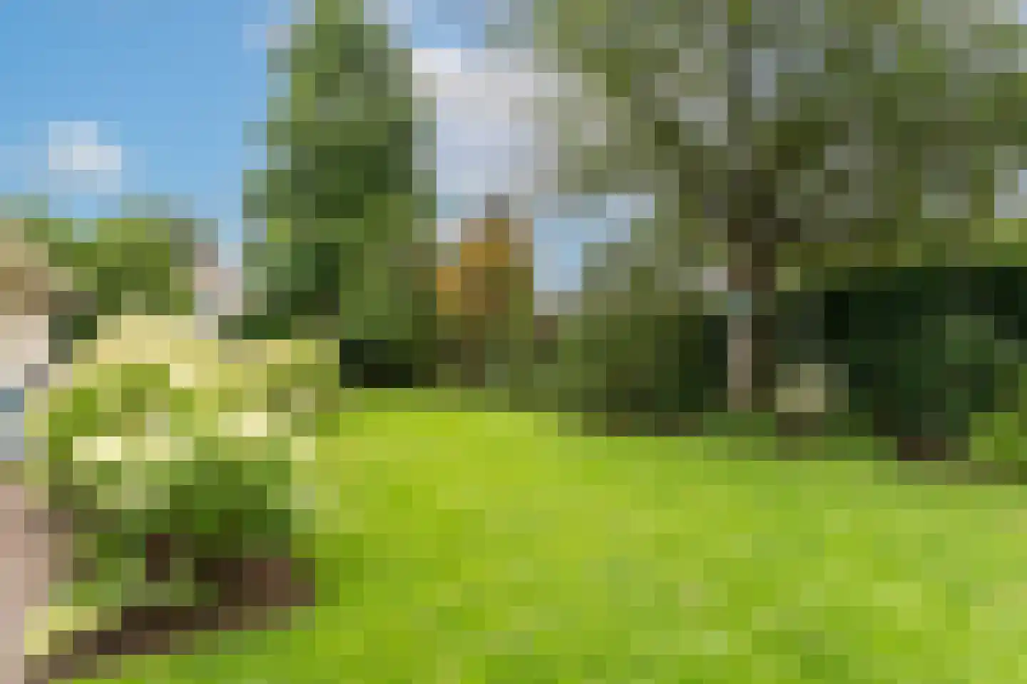 Wicherserf 10 Dalfsen thumbnail 44