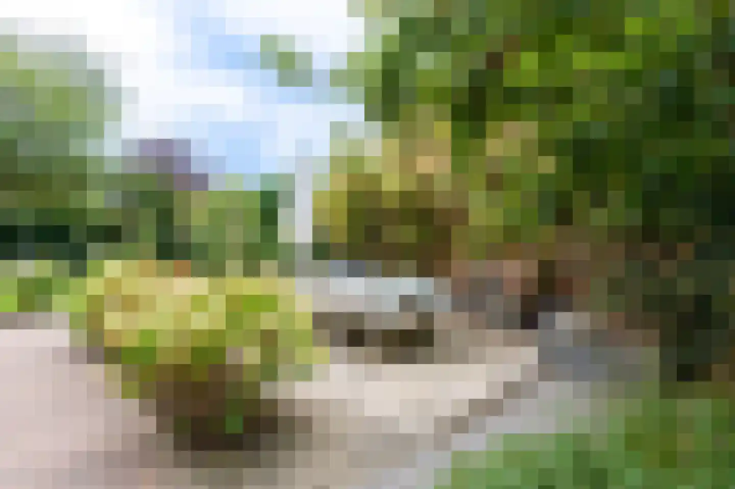 Wicherserf 10 Dalfsen thumbnail 45