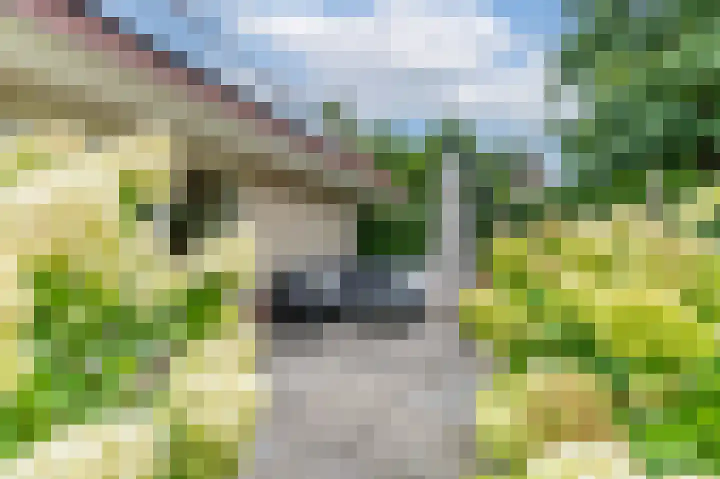 Wicherserf 10 Dalfsen thumbnail 46