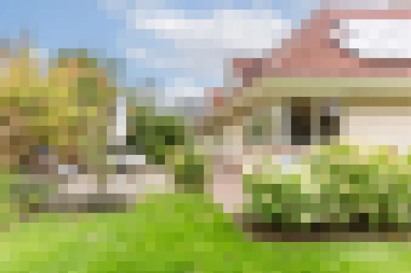 Wicherserf 10 Dalfsen thumbnail 47