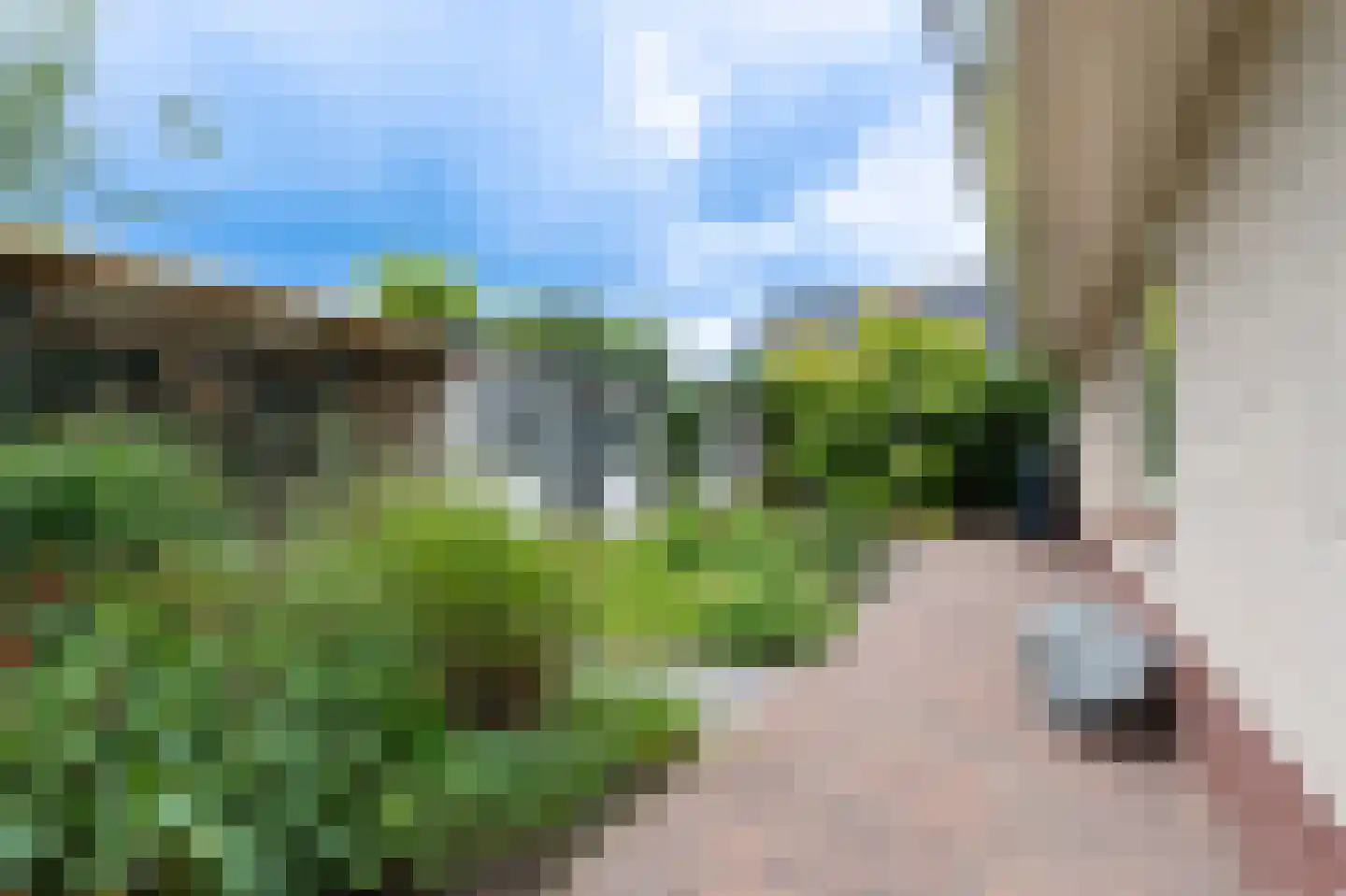 Wicherserf 10 Dalfsen thumbnail 50