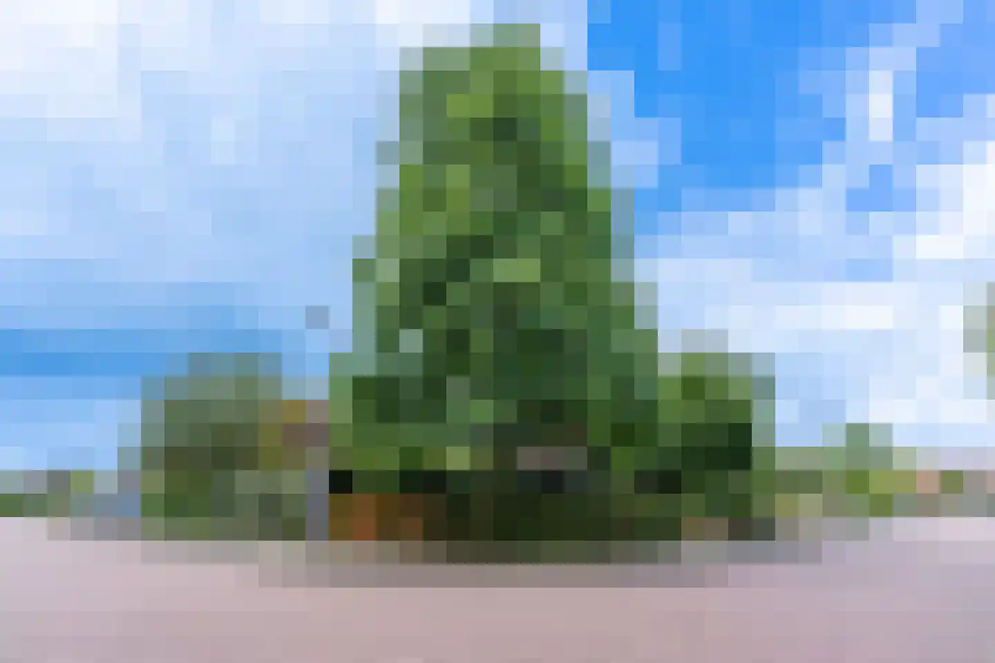 Wicherserf 10 Dalfsen thumbnail 51