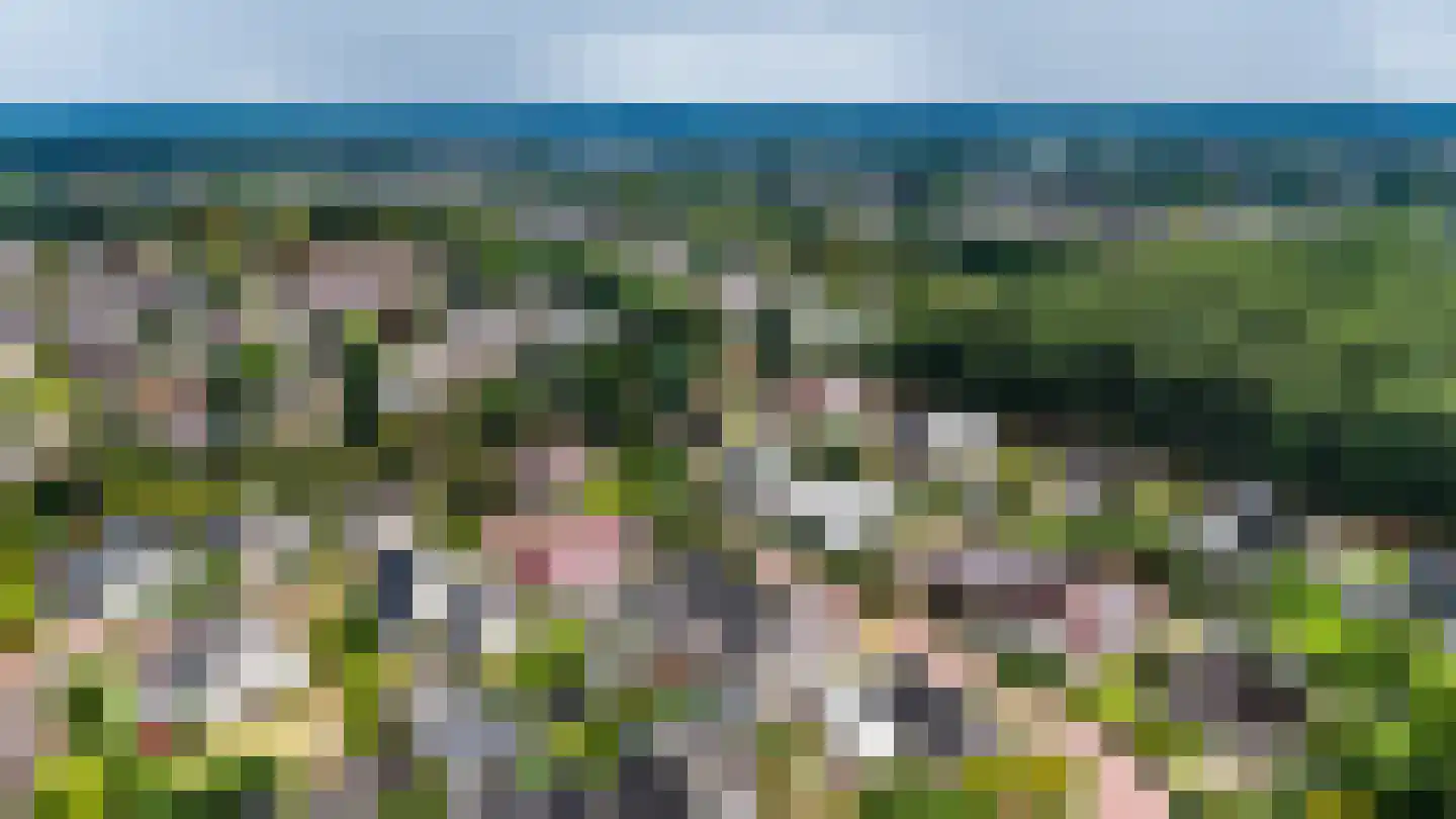 Wicherserf 10 Dalfsen thumbnail 55