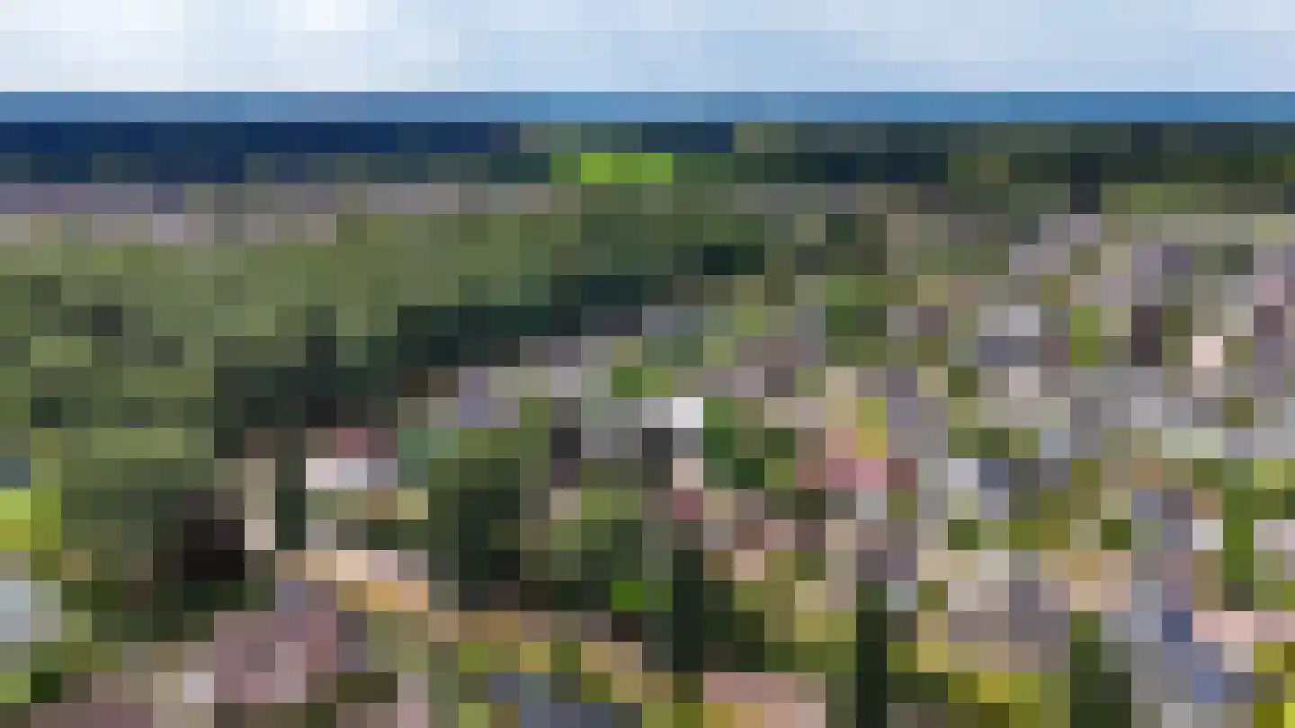 Wicherserf 10 Dalfsen thumbnail 56