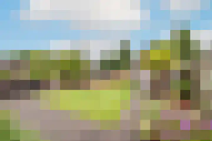 Wichinksweg 21 Lettele thumbnail 15