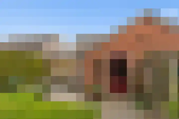 Wichinksweg 21 Lettele thumbnail 25