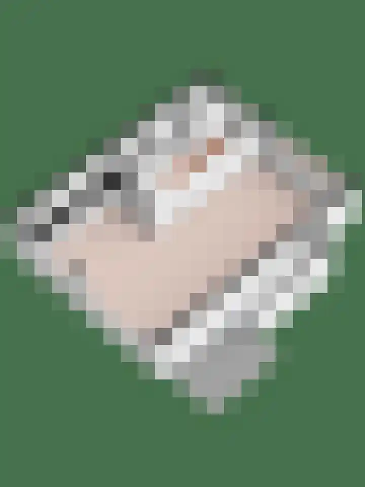 Wichinksweg 21 Lettele thumbnail 33