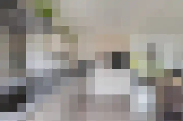 Wichinksweg 21 Lettele thumbnail 9