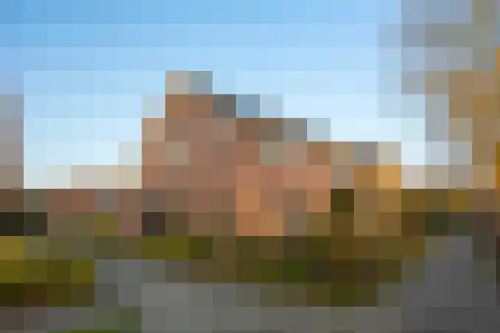 Wichinksweg 47 dans Lettele